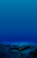 120mCoelacanthCave Watches World