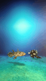 Captura de pantalla 20140122 a las 190512 Watches World