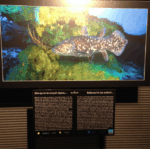 Captura de pantalla 20140122 a las 190522 Watches World