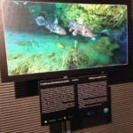 Captura de pantalla 20140122 a las 190529 Watches World