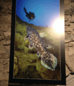 Captura de pantalla 20140122 a las 190544 Watches World