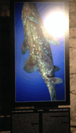 Captura de pantalla 20140122 a las 190720 Watches World