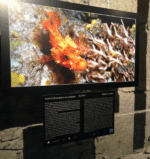 Captura de pantalla 20140122 a las 190752 Watches World