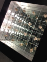 IMG7243 Watches World