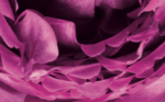 Captura de pantalla 20140415 a las 000225 Watches World