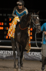 LONGINES HANDICAP DE LAS AMERICAS Watches World