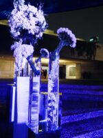 MONTBLANC DE LA CULTURE ARTS PATRONAGE AWARD 2014 Watches World