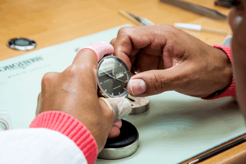 Custumer Service Swatch Watches World