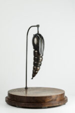 bronzepupaLres Watches World