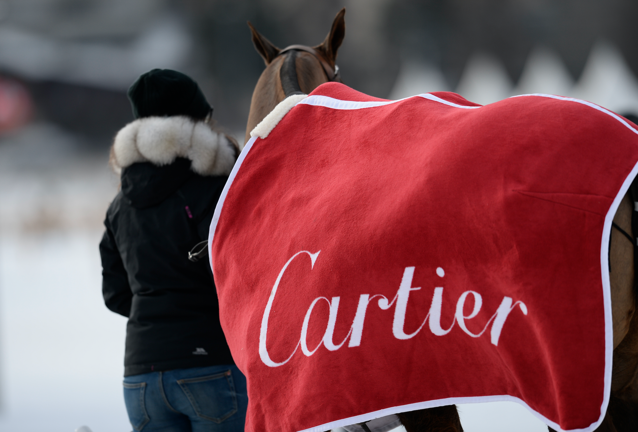 CarierSnow2 Watches World CarierSnow2