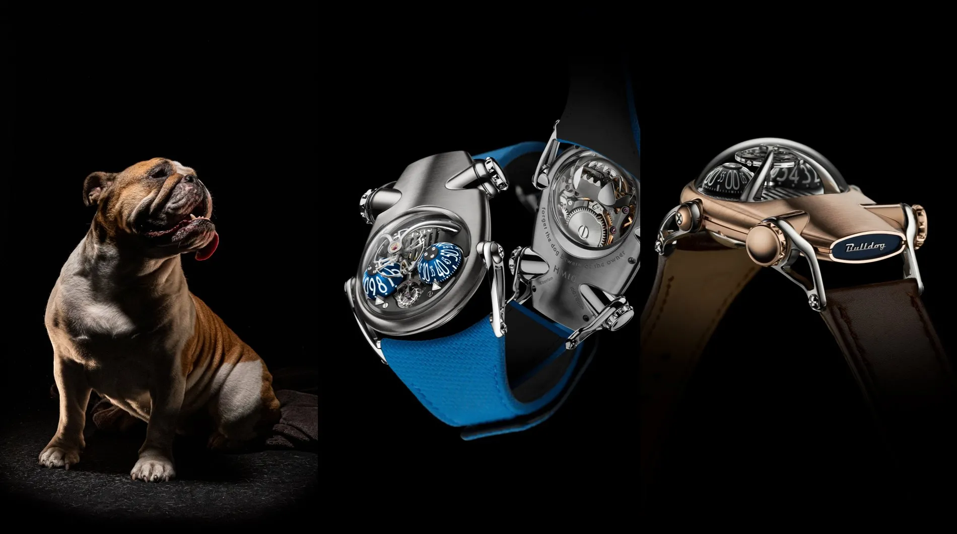 HM10 Bulldog MB and F-Bulldog-2