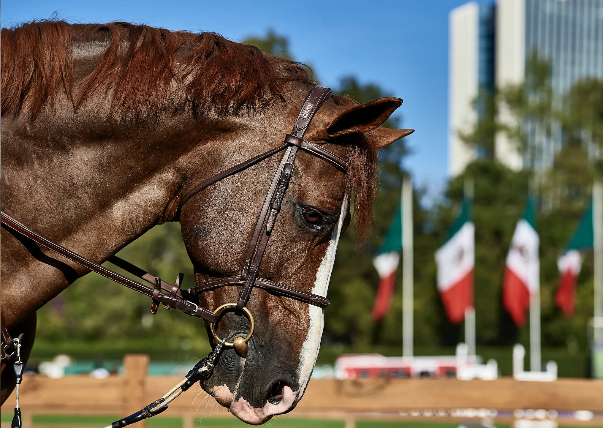 Longines Global Champions Tour Covid-