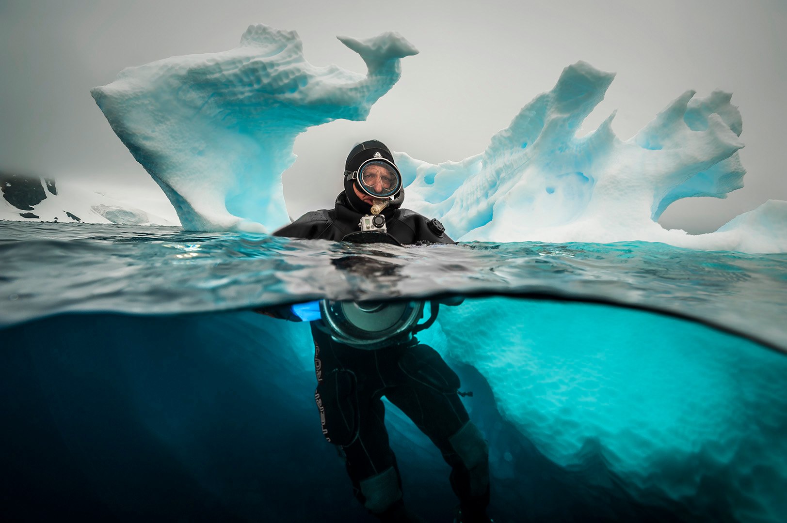 David Doubilet Watches World