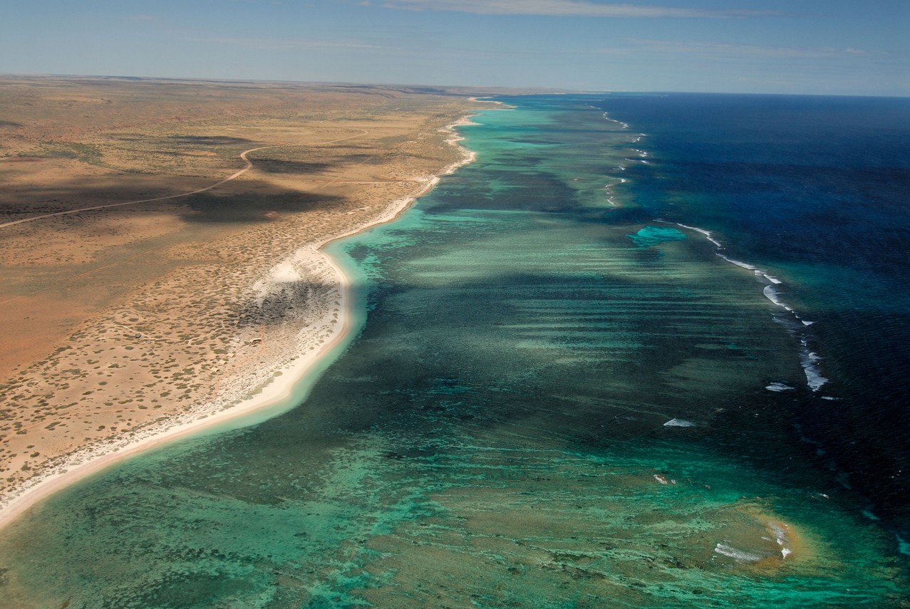 Rolex Perpetual PlanetCoral Reefs Ocean Warming Watches World Rolex Perpetual Planet Coral Reefs Ocean Warming
