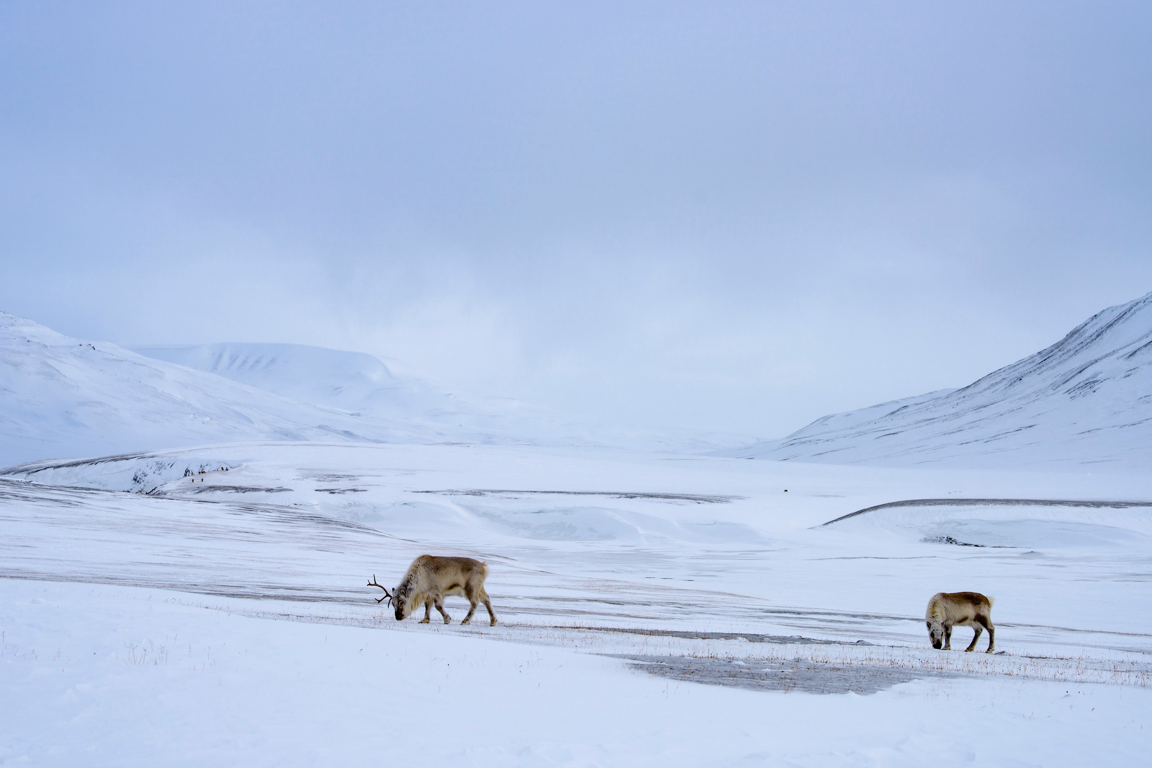 Rolex Perpetual PlanetJoseph Cook2016 Watches World Rolex Perpetual Planet Joseph Cook 2016