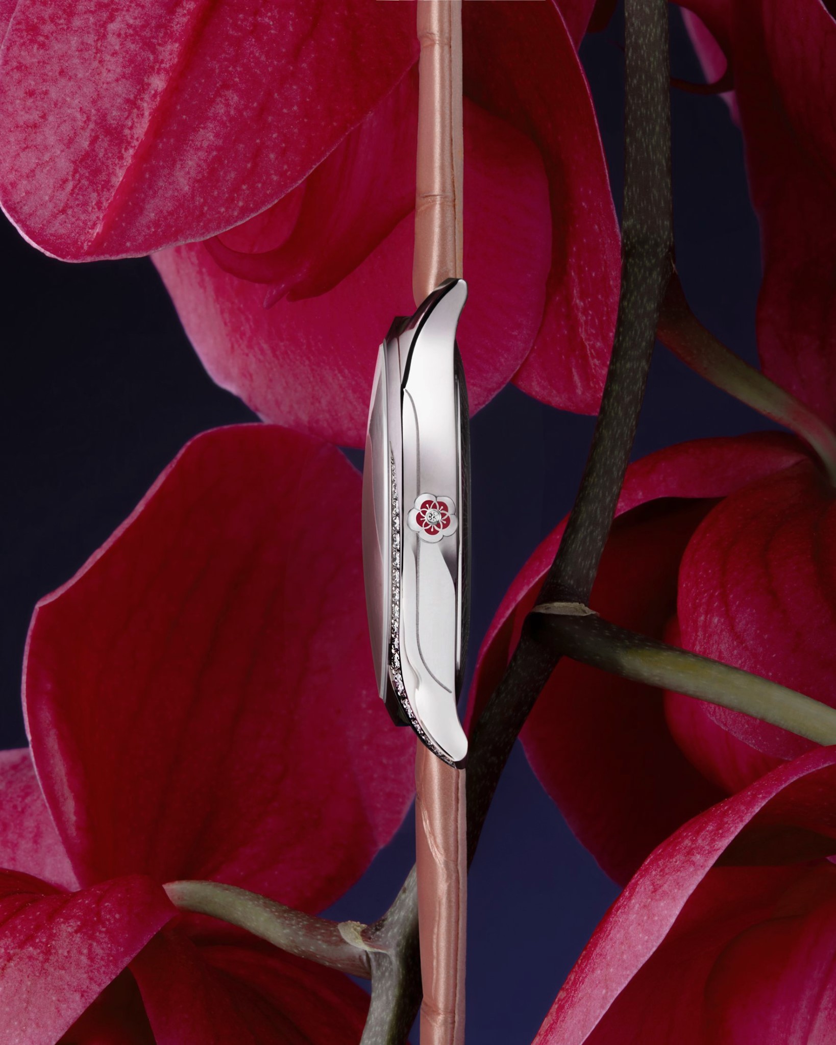 OmegaTresor2020lateral1 Watches World