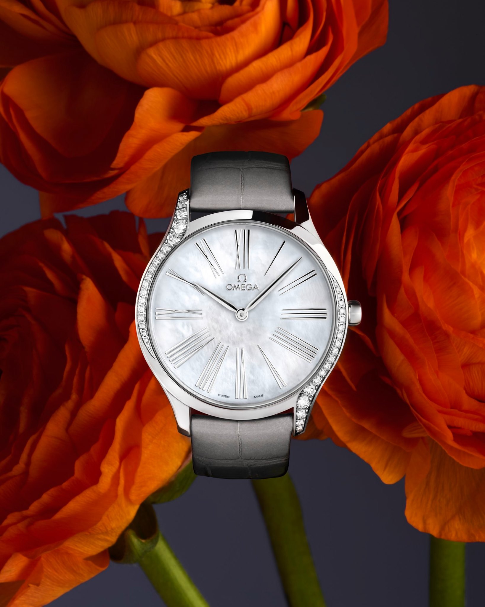 OmegaTresor2020rosas1 Watches World