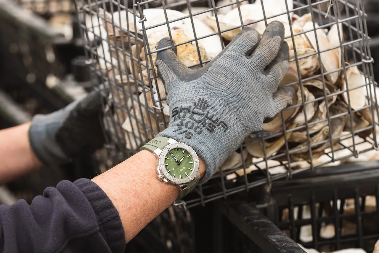 Oris New York Harbor Limited Edition wrist