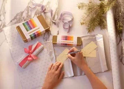 Caran d'Ache Colour Treasure