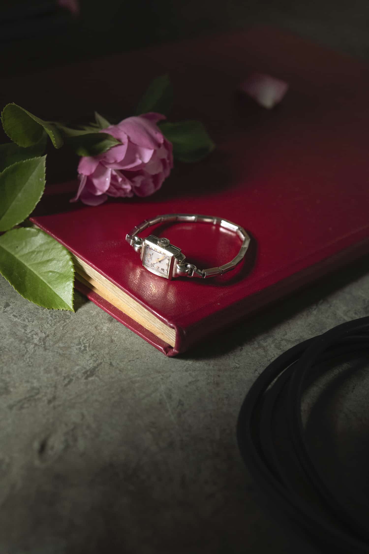 LadyHamiltonlifestyle15679 Watches World