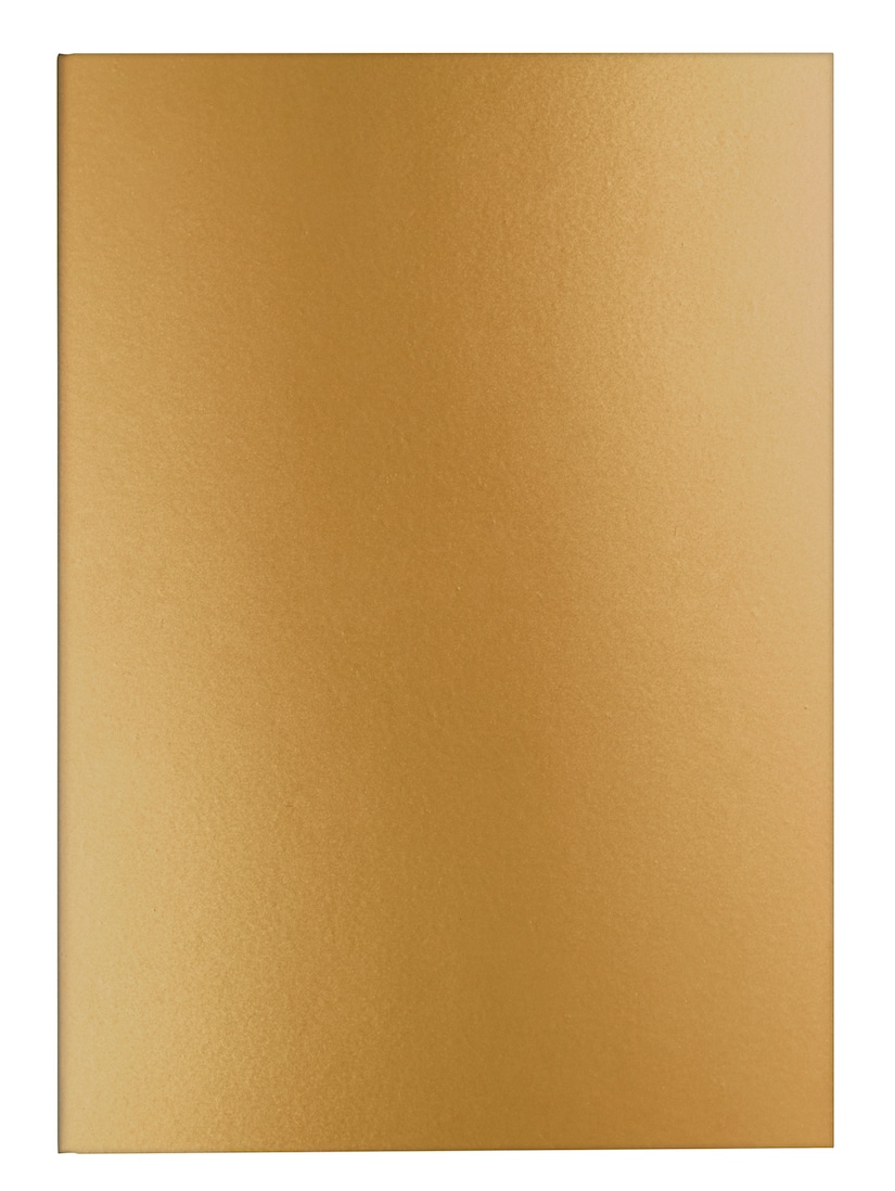 Caran d Ache Colormat X cuaderno oro Watches World Caran d Ache Colormat X cuaderno oro