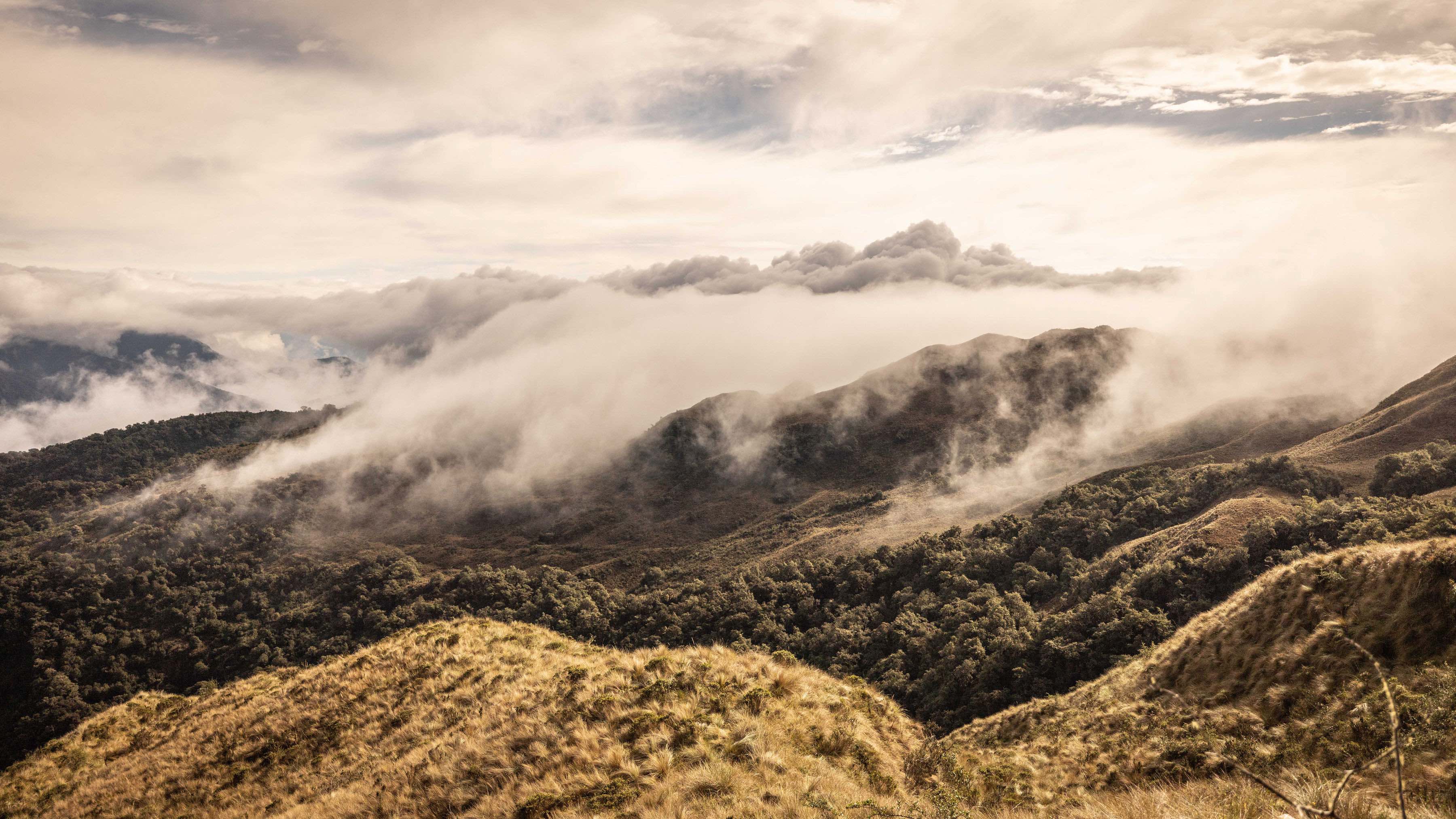 Parque Nacional Manú en Perú. 
©Pablo Durana/National Geographic