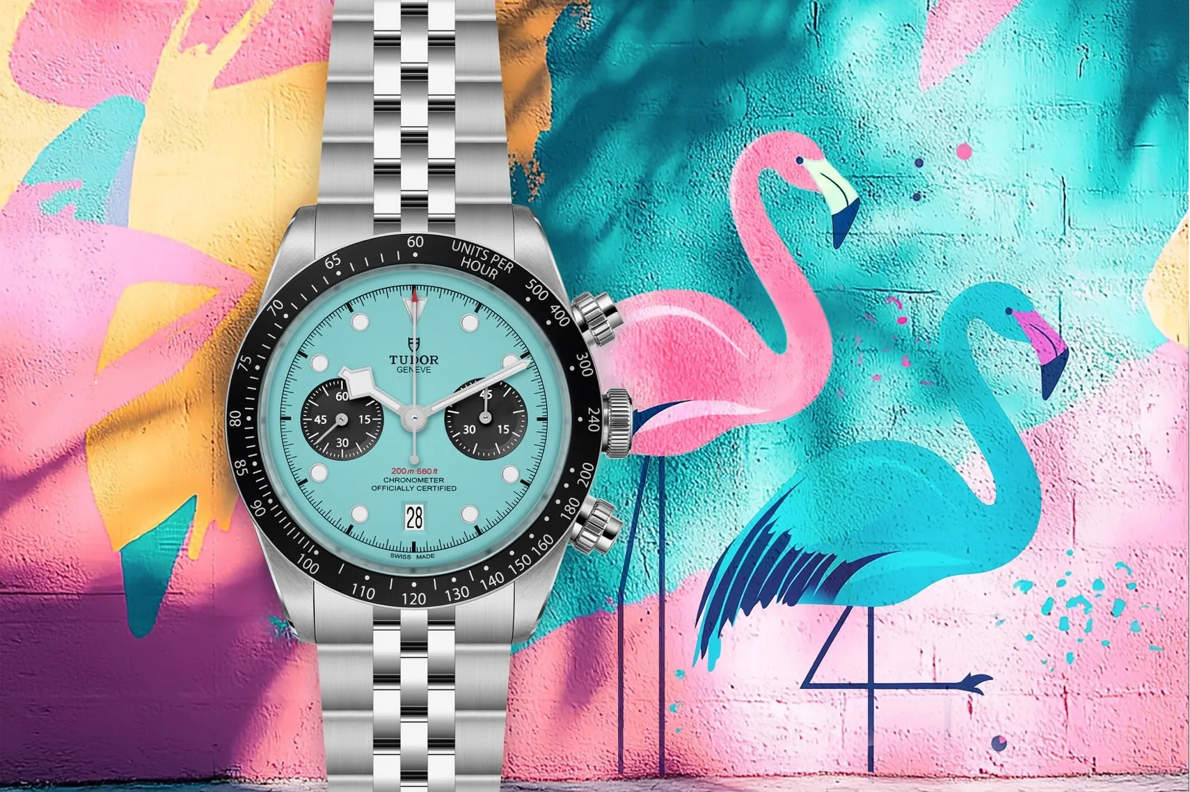 Tudor Black Bay Chrono Flamingo Blue