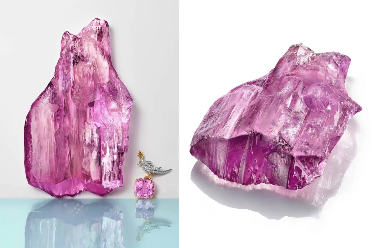 Un legado en rosa: Tiffany & Co. celebra los 60 años de Bird on a Rock con una kunzita de 7,500 quilates