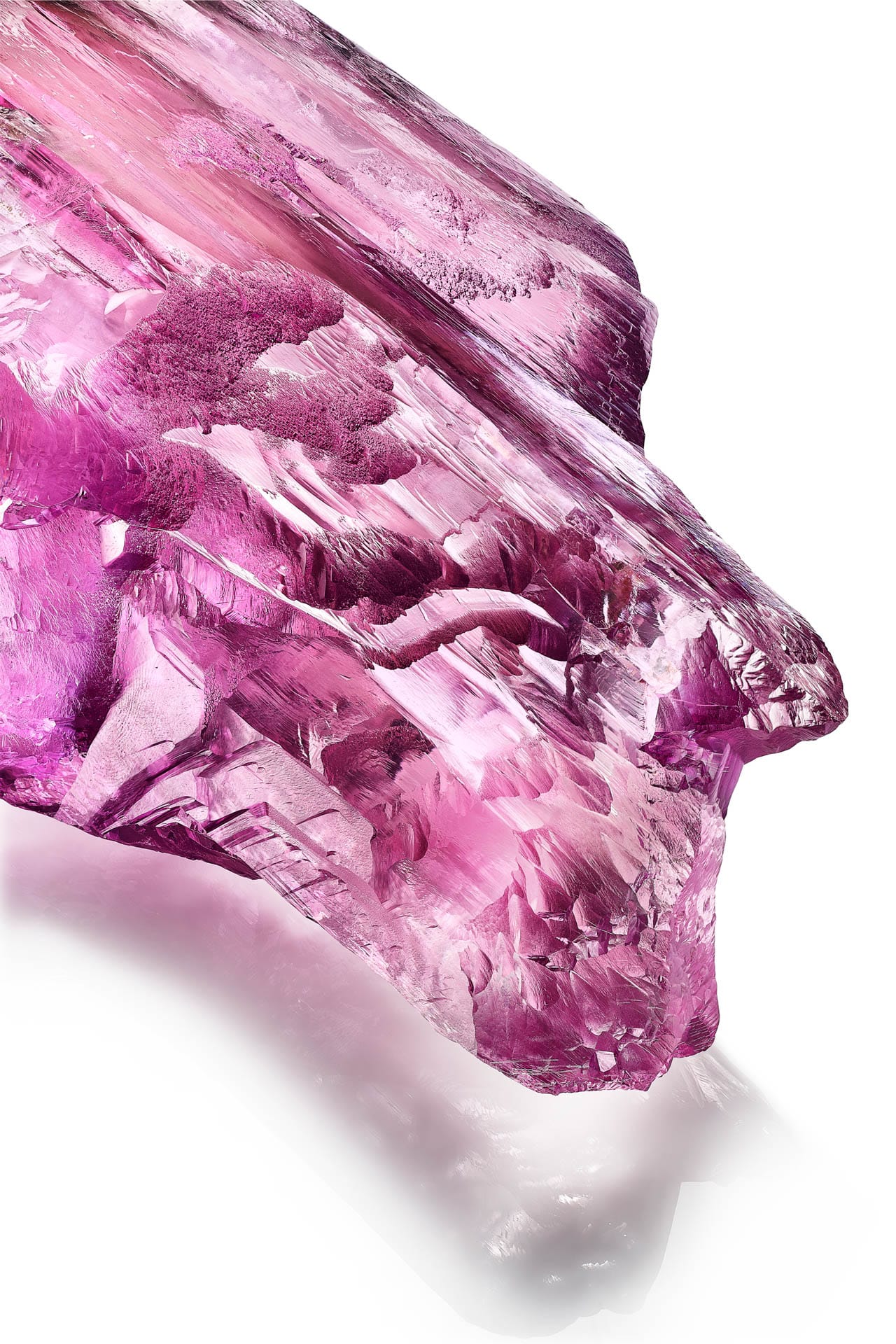 Un legado en rosa: Tiffany & Co. celebra los 60 años de Bird on a Rock con una kunzita de 7,500 quilates