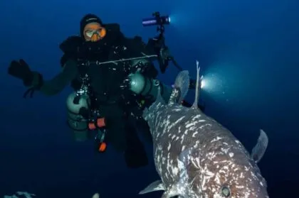 Blancpain documentales