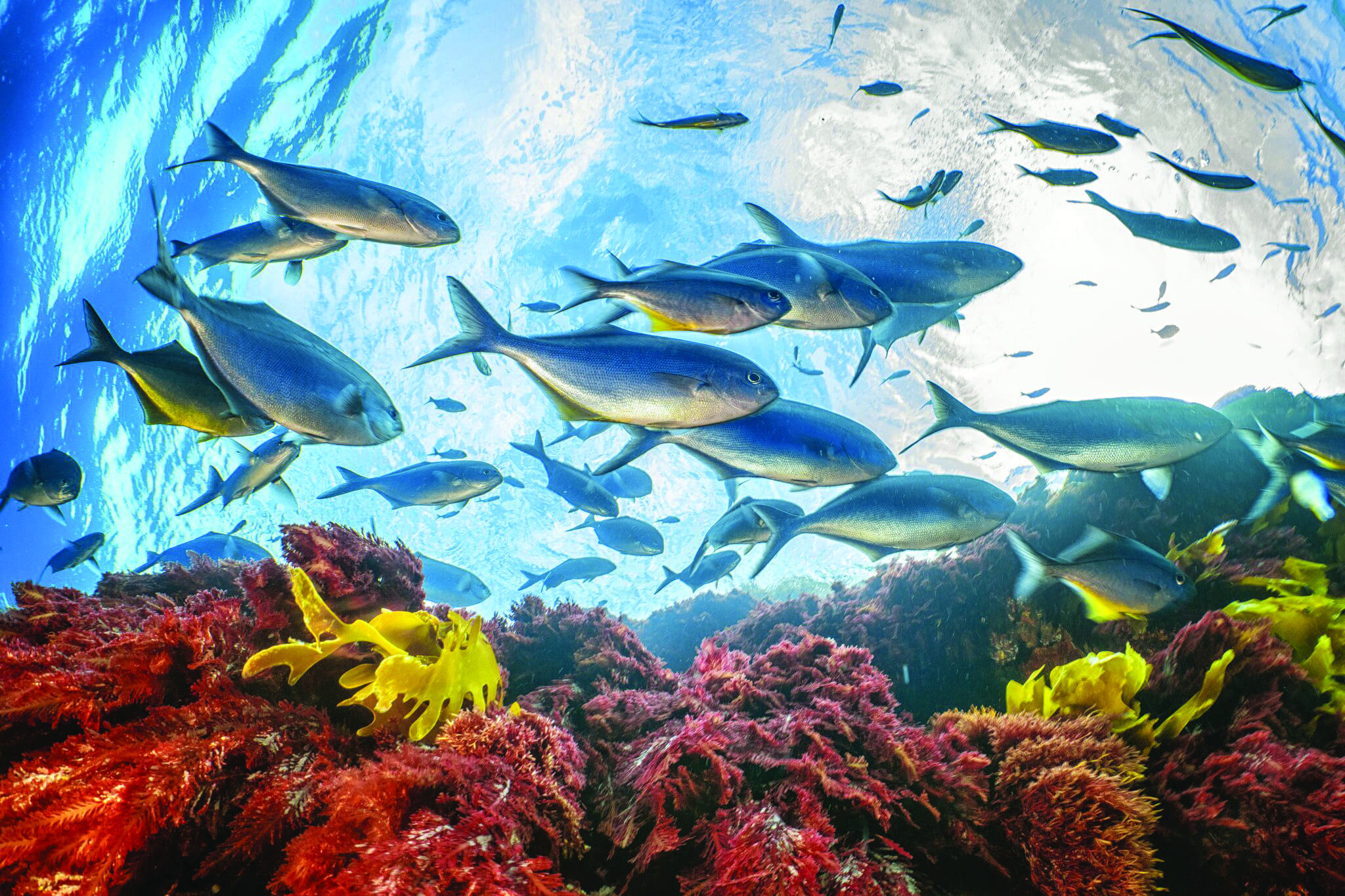 Cristina Mittermeier Watches World Cristina Mittermeier Testimonial de Rolex