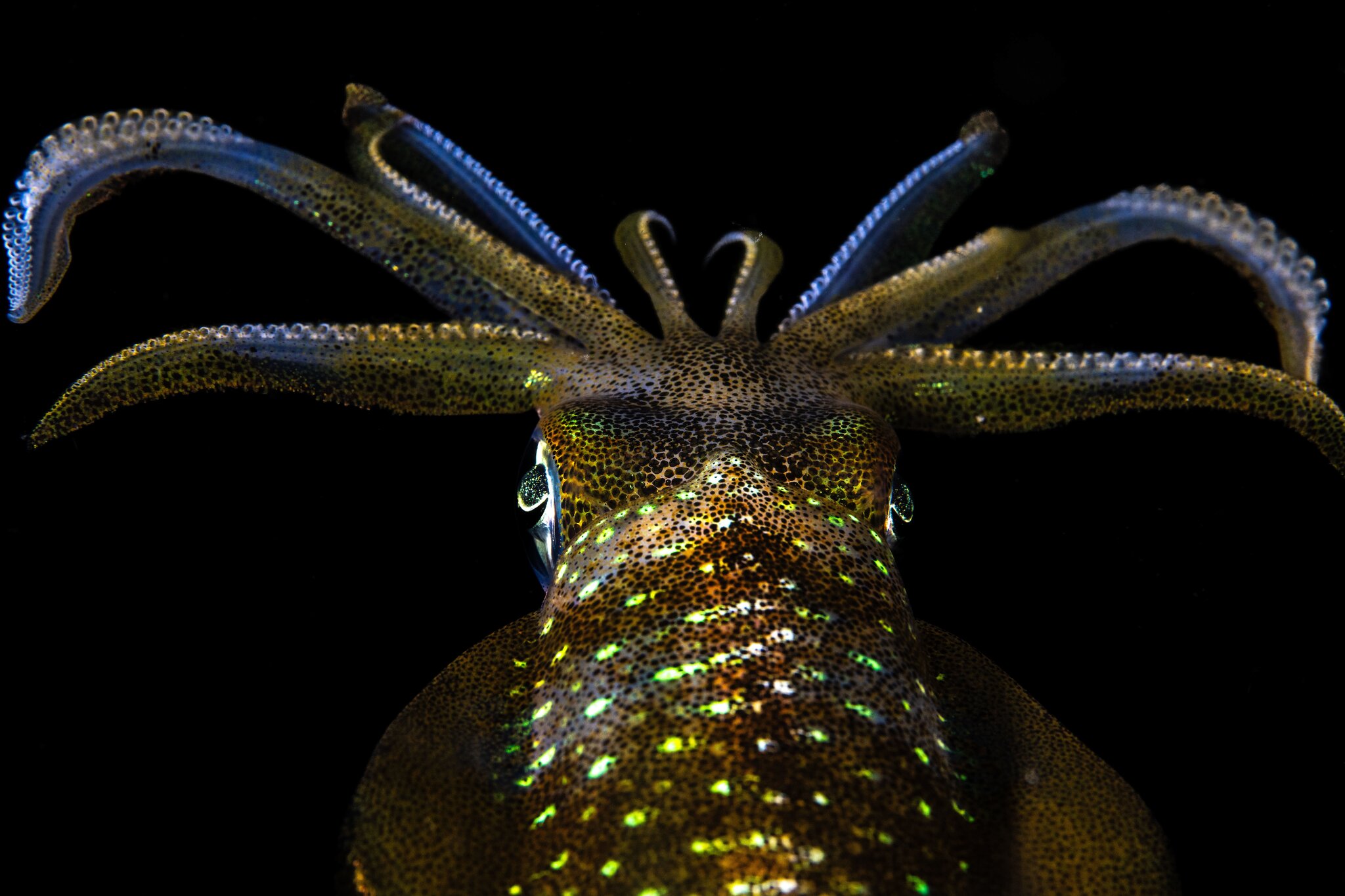 cgm10012025raja142 Watches World Cristina Mittermeier Testimonial de Rolex