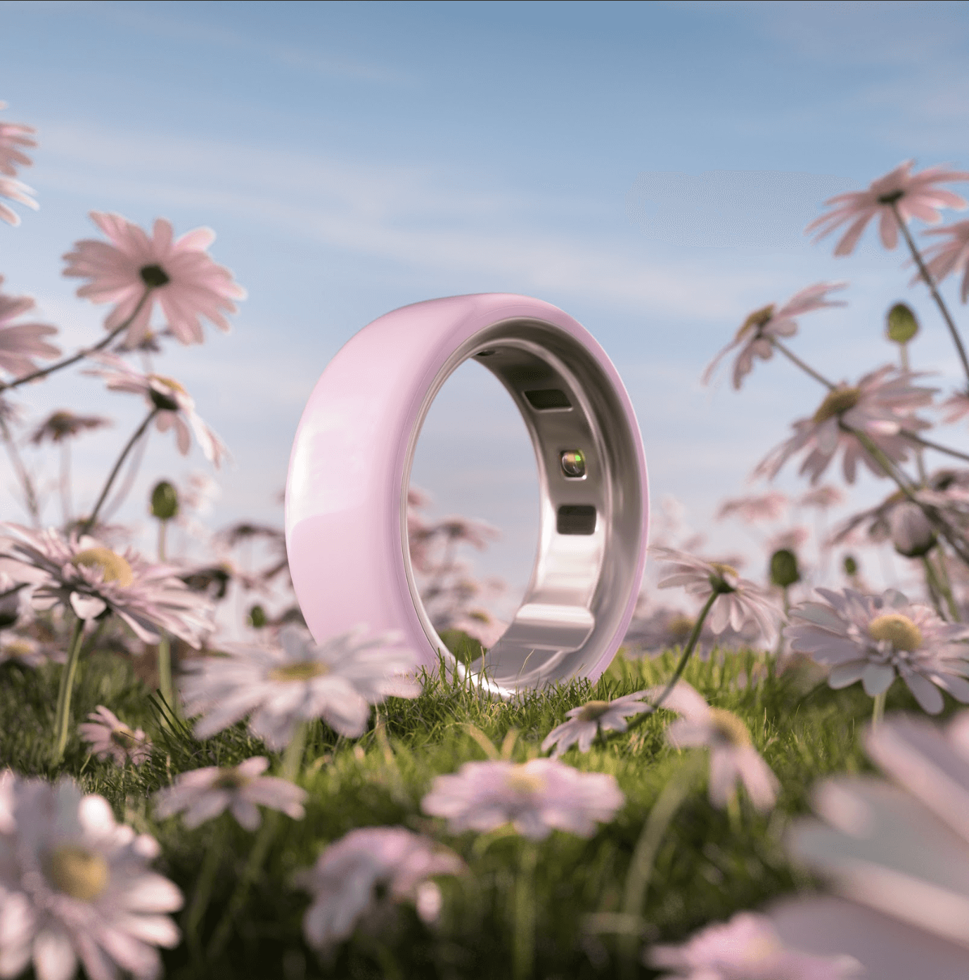 OURA RINGFLORES ROSAS Watches World