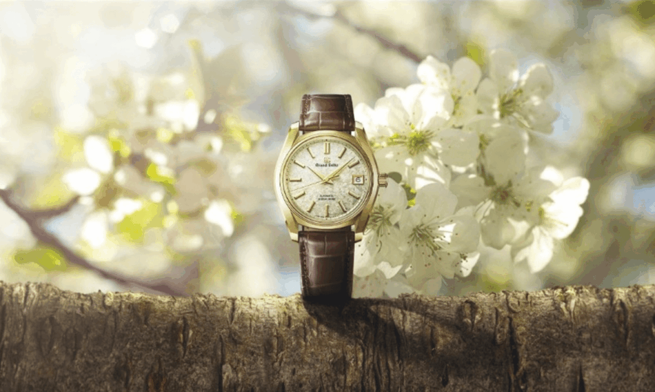 GRAND SEIKOColección Patrimonial Sakura Wakaba SBGH376LIFESTYLE Watches World Gold wristwatch with brown leather strap balanced on a tree trunk white blossoms in the background