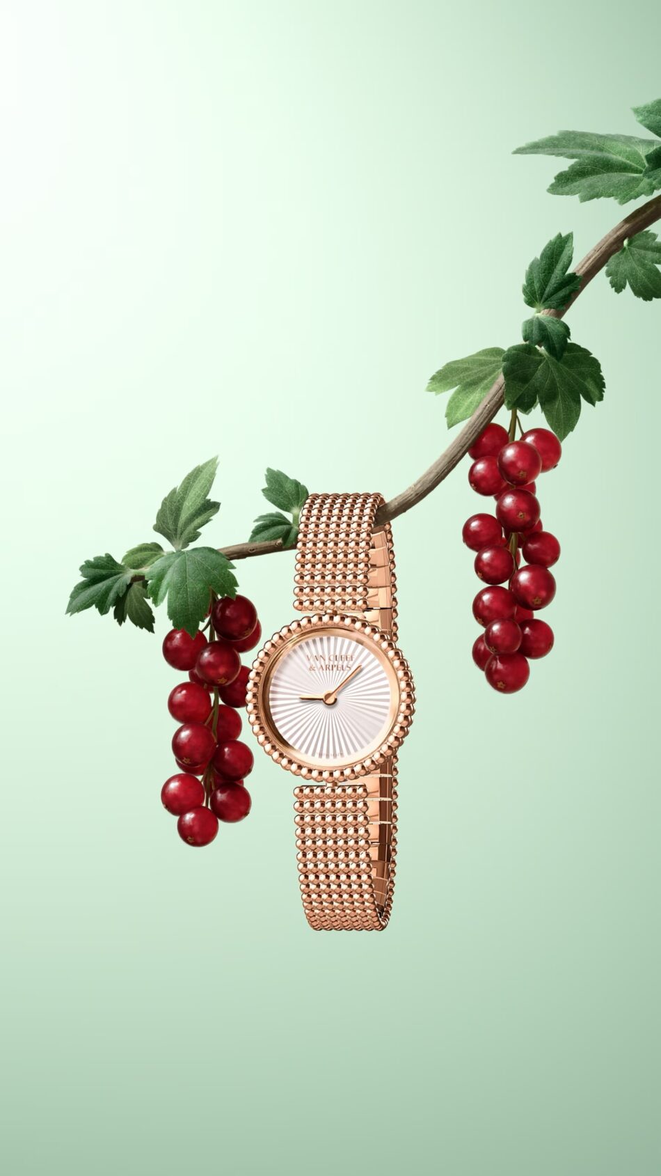 Perlée Van Cleef Arpels2 Watches World Reloj de pulsera de oro rosa colgado de una enredadera con grosellas rojas sobre un fondo de color menta suave
